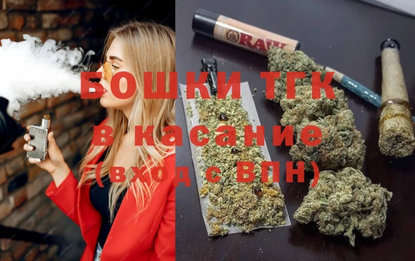 гидра Алексеевка