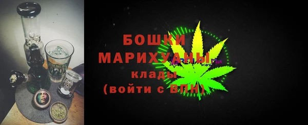 гидра Алексеевка