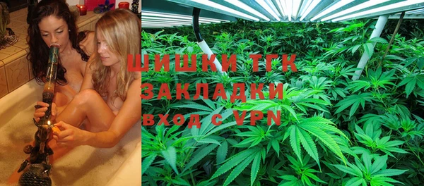 гидра Алексеевка