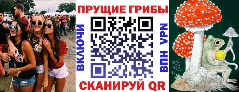 Галлюциногенные грибы Cubensis  hydra вход  Калтан 